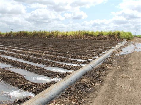 Surface Irrigation Optimisation | Agritech Solutions