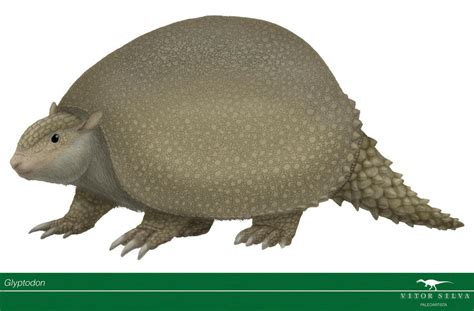 Glyptodon by Vitor-Silva on DeviantArt