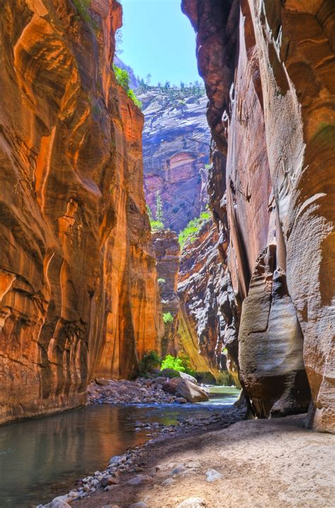 Day Hiking Trails: Best trails for enjoying Zion NP’s wonders