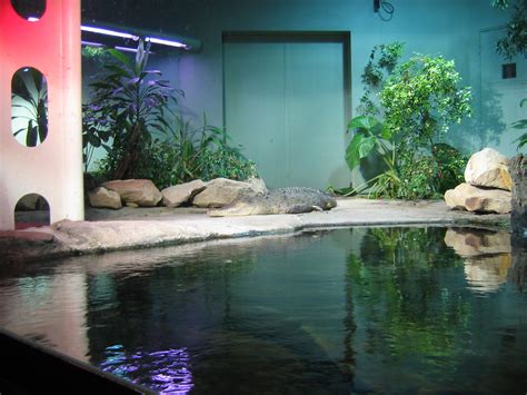 Crocodile at the Sydney Aquarium | Nogwater | Flickr