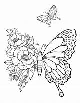 Butterfly Printable Coloring Sheet Pages Kids  sketch template