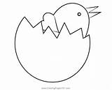 Chick With Egg Broken Coloring Page For Kids  Free Chickens Printable sketch template