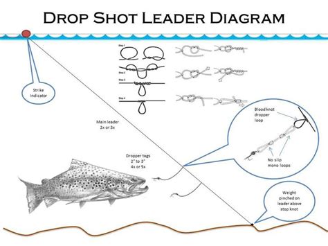 drop shot nymphing leader diagram | Fly fishing tips, Fly fishing, Fly ...