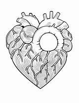 50 Heart Coloring Pages Free Cute Sheets sketch template