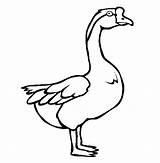 Goose coloring page  Animals Town Animal color sheets Picture sketch template