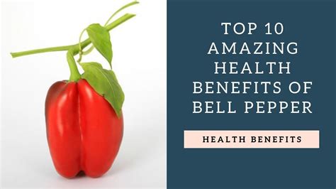 Top 10 Health Benefits of Bell Pepper | Stuffed peppers, Bell pepper benefits, Stuffed bell peppers