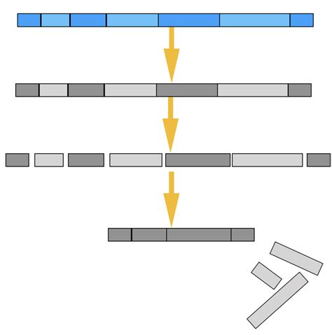 Diagram of RNA splicing Diagram | Quizlet