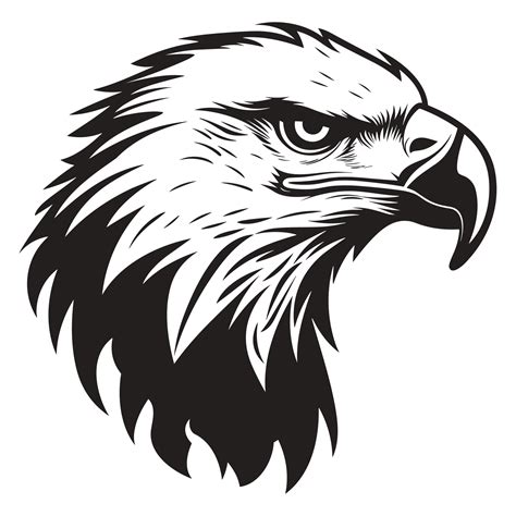 Beautiful Eagle Face Silhouette - 25069713 PNG