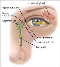 Lacrimal Sac Surgery in Bhiwani | ID: 7751854573