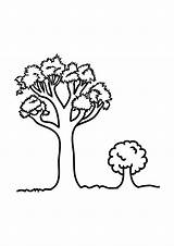 Printable Tree Coloring Page sketch template