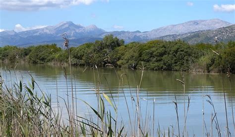 S'Albufera Natural Park, Mallorca