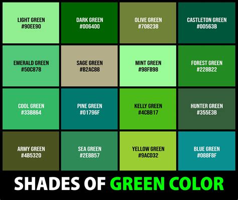 237+ Shades of Green Color (Names, HEX, RGB, & CMYK Codes), green colour - plantecuador.com