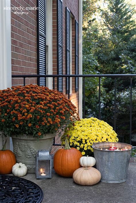 pumpkins and flowers are sitting on the front porch