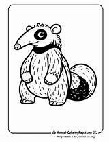 14 Anteater Coloring Pages  Free Printable 🐜 Animal sketch template