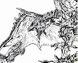 Wyvern Coloring Pages 53 Easily Done Draw Rathalos Kids Butterfly Fox  sketch template