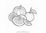 Free Printable Fruit Coloring Pages For Kids  Sheets sketch template