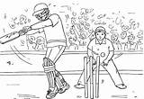 Cricket Coloring Pages 1 Kids  sketch template