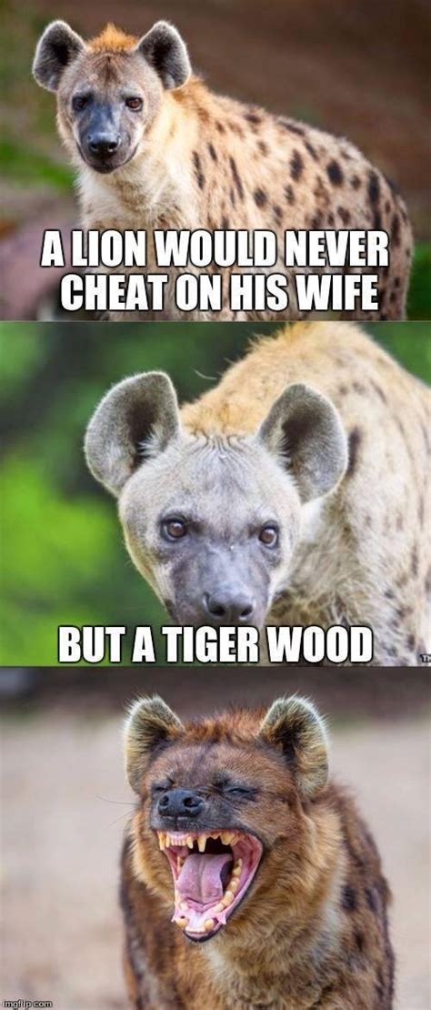 15 Hyena Memes That Will Have You Laughing Like a Hyena - Animals