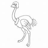 Adorable Ostrich coloring Page  Download Print Or Color Online For Free sketch template