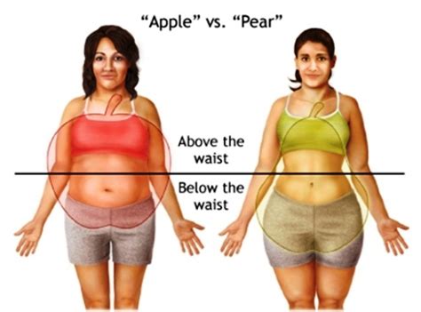 Belly Fat, Learn The Truth - Health And Medical Information