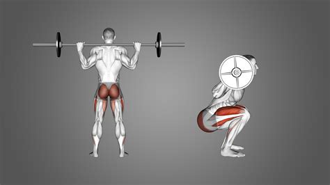 8 Best Types of Squat Variations (with Pictures!) - Inspire US