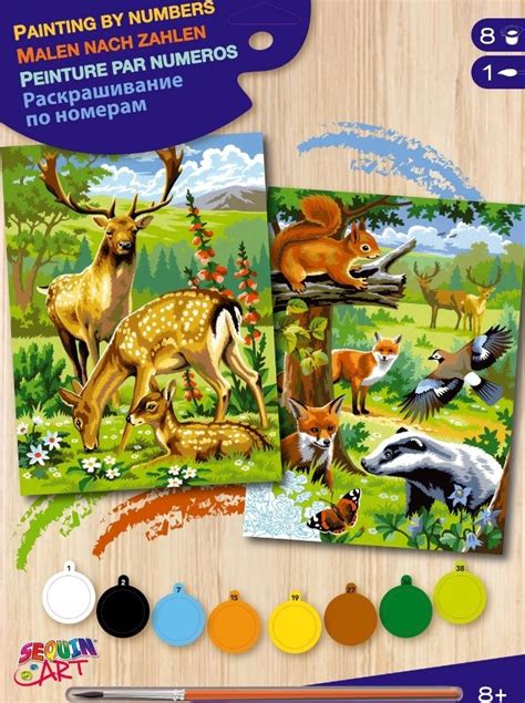 Painting By Numbers Twin Pack - Woodland Animals - Paint By Numbers