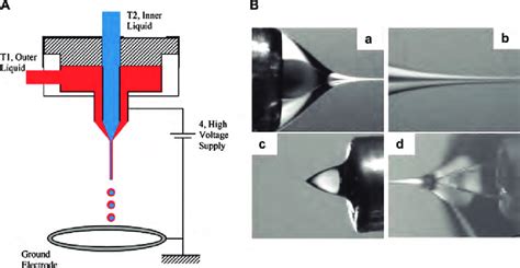 (A) Experimental setup for a structured Taylor cone with an internal... | Download Scientific ...