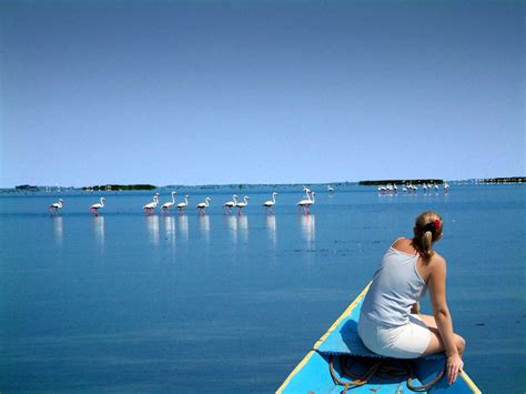 Chilika Lake