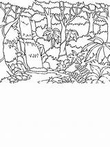 Beautiful rainforest coloring Page By Years Old – Artofit sketch template