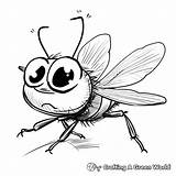 Fly Coloring Pages  Free & Printable sketch template