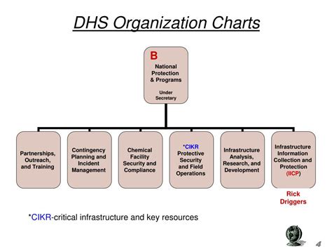 PPT - DHO Organizational Chart PowerPoint Presentation, free download - ID:5730822