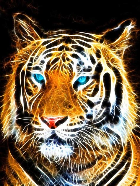 Tiger Wallpaper - NawPic