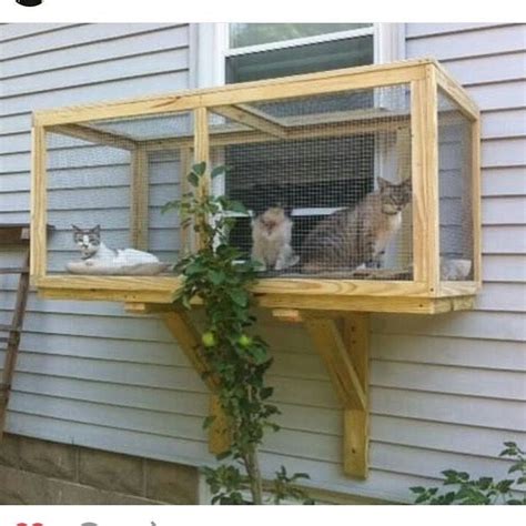 ?Can you build your own catio? · ?The main parts of a catio · ?Catio ...