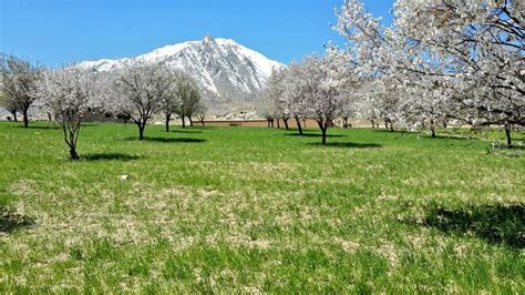 Gorgeous Photos of Afghanistan's Peaceful Landscapes - VICE