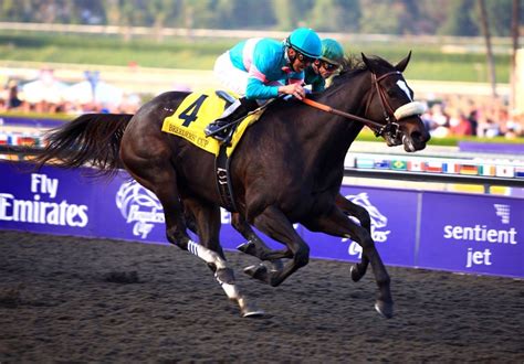 Zenyatta, winning the Breeder's Cup Classic at Santa Anita in 2009 | Thoroughbred horse racing ...