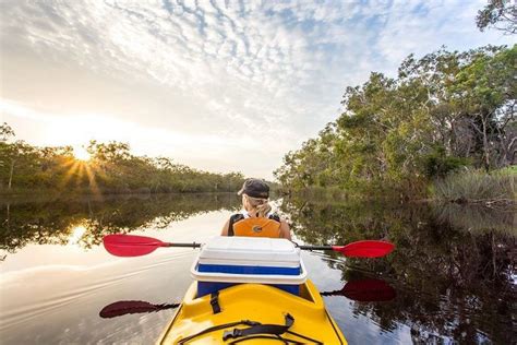 How to Explore and Experience the Noosa Everglades | Queensland