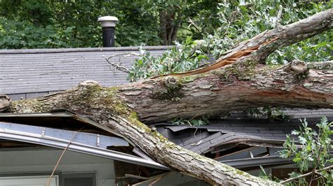 Storm Damage Repair Services | Belfast Roofing Services