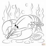 Lobster coloring Page  Free Printable Coloring Pages sketch template