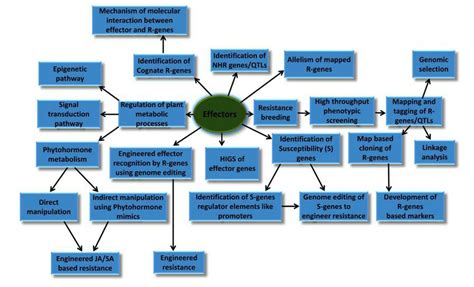 Identification and Discovery of Effector Proteins - Lifeasible