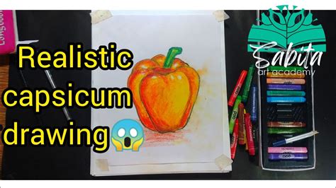 Realistic capsicum drawing//How to draw a capsicum//easy capsicum drawing//step by step drawing ...