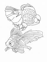 Goldfish coloring Pages  40 Printable sketch template