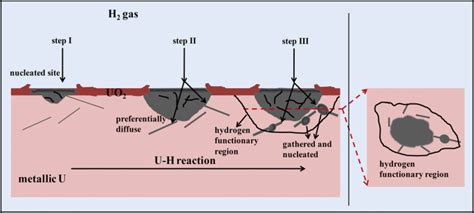 Mechanism of surface uranium hydride formation during corrosion of uranium | npj Materials ...