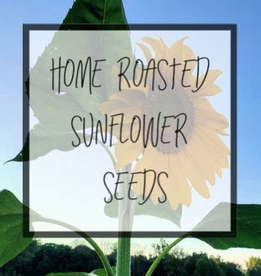 Home Roasted Sunflower Seeds - The ReHomesteaders