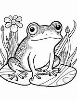 35 Frog Coloring Pages Cute Free Sheets sketch template