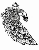 Peacock Coloring Pages Free Printable PDF sketch template