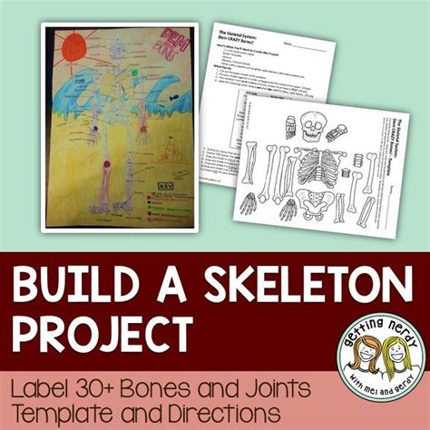 Skeletal System - Skeleton Project - Paper + Digital | Life science lessons, Human body systems ...