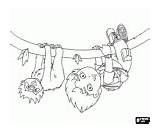 Diego With A rope coloring Page Printable Game sketch template