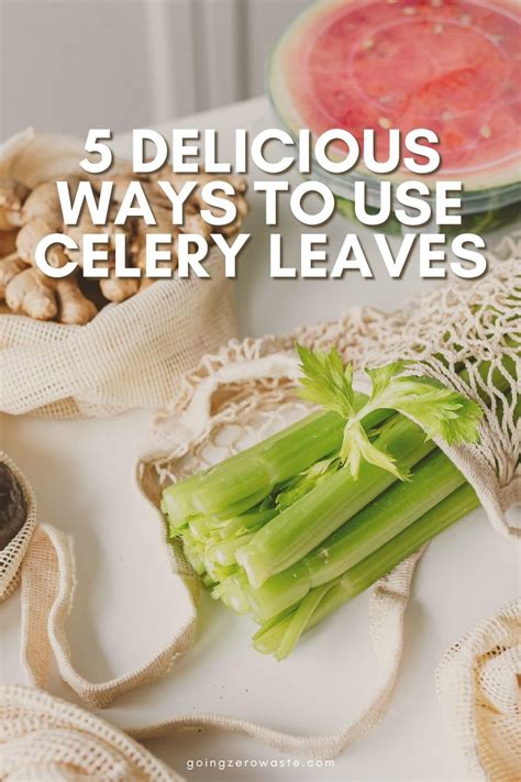 5 Delicious Ways to Use Celery Leaves - Going Zero Waste