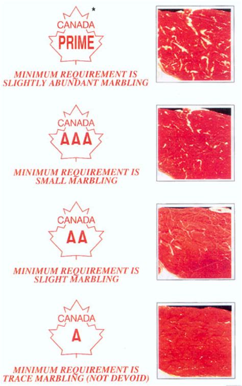 Canadian Beef Grading Chart: A Visual Reference of Charts | Chart Master