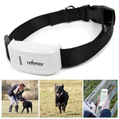 Best Cat GPS Tracker UK Easy To Use Collar Devices Top-10